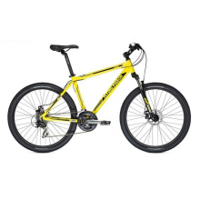 21speed 26" Mountain Bicycle Bike (FP-MTB-ST018)
